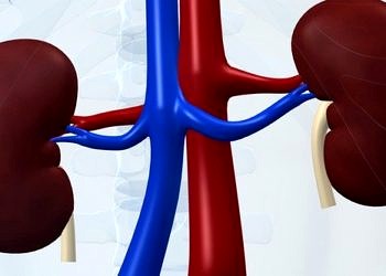 Kronik böbrek hastalığı tedavisindeki paradigma yeni keşifle değişebilir!