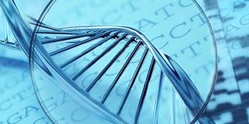 DNA’daki epigenetik değişiklikler tip 2 diyabeti açıklayabilir mi?