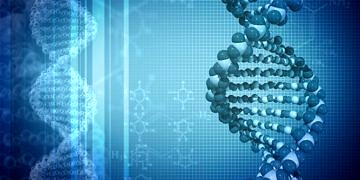 DNA’daki epigenetik değişiklikler tip 2 diyabeti açıklayabilir mi?