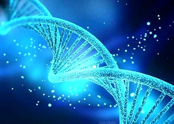 DNA’daki epigenetik değişiklikler tip 2 diyabeti açıklayabilir mi?
