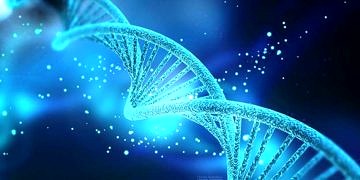DNA’daki epigenetik değişiklikler tip 2 diyabeti açıklayabilir mi?