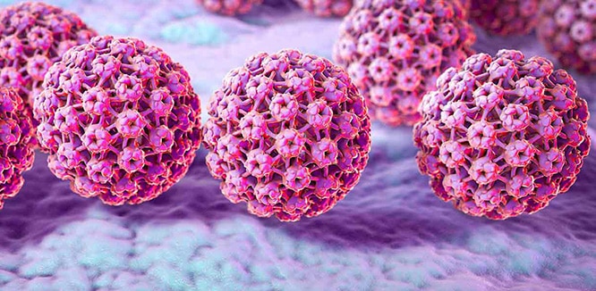 Human papilloma virus bulasma yollar, Hpv virusunun tedavisi nedir Hpv tip 53 tedavisi