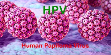 HPV nedir? Nasıl bulaşır? Belirtileri, tedavisi ve aşıları