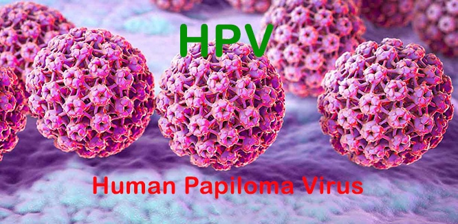 hpv treatment doctor