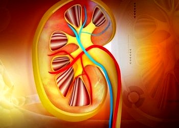 Kronik böbrek hastalığı tedavisindeki paradigma yeni keşifle değişebilir!