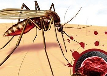 Sıtma (Malaria) nedir? Nasıl bulaşır? Belirtileri ve tedavisi