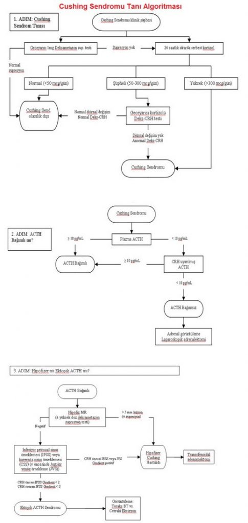 Cushing Sendromu Tanı Algoritması
