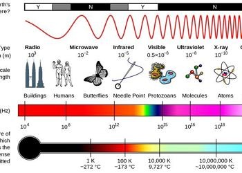Revision Eye Comfort & Protective System