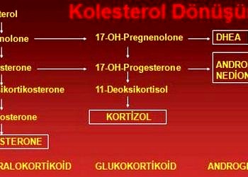 Sürrenal hastalıkların ayırıcı tanısı