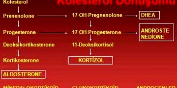 Sürrenal hastalıkların ayırıcı tanısı