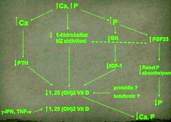 Metabolik kemik hastalıklarında tanı ve tedavi