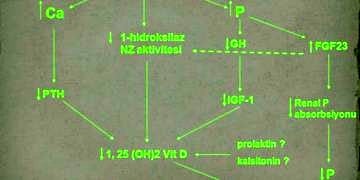 Metabolik kemik hastalıklarında tanı ve tedavi