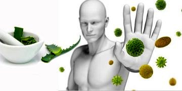 Bağışıklık sistemini güçlendiren öneriler