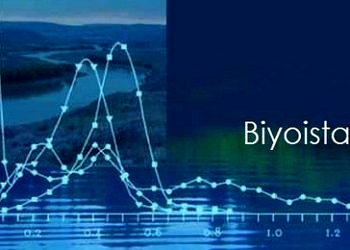 Biyoistatistik sözlüğü