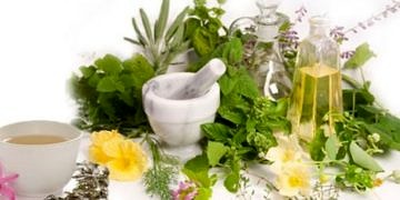 Karaciğeri yıkamak mümkün mü? İşte bitkilerle yapılan tek bilimsel detoks