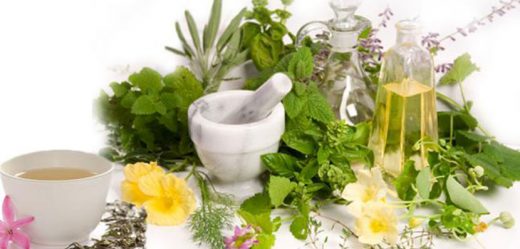 bitkisel-herbal-alternatif