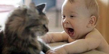 Hayvandan çocuklara ve insanlara bulaşan hastalıklar ve yarattığı riskler