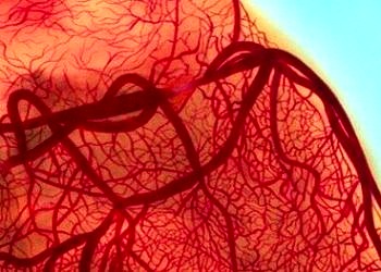 Düzenli kahve içenlerin damarları ‘daha temiz’ ve kalp krizi rikleri daha az