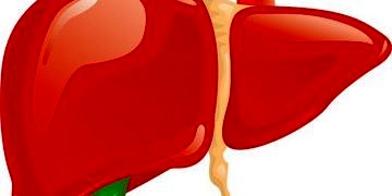 Karaciğer kanseri neden olur? Belirtileri, nedenleri ve tedavisi