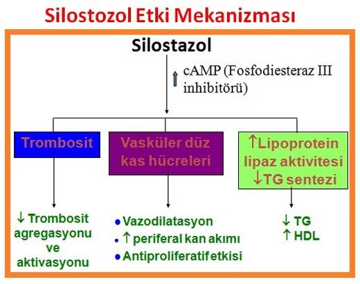 periferik-arter-hastalc4b1klarc4b1-pah-4