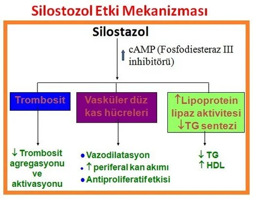 periferik-arter-hastalc4b1klarc4b1-pah-4