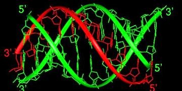 Dünya’nın 3 sarmallı DNA’ya sahip tek insanı!