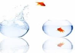 es-durumu-balik-atlama