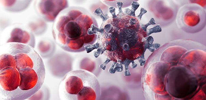 hucre-kanser-asi-kan