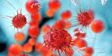 Prof. Dr. Demir: Kanser tedavisinde önemli gelişmeler yaşanıyor