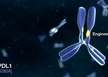 Yeni immünoterapik ilaç, akciğer kanserinde sağkalımı iki katına çıkardı