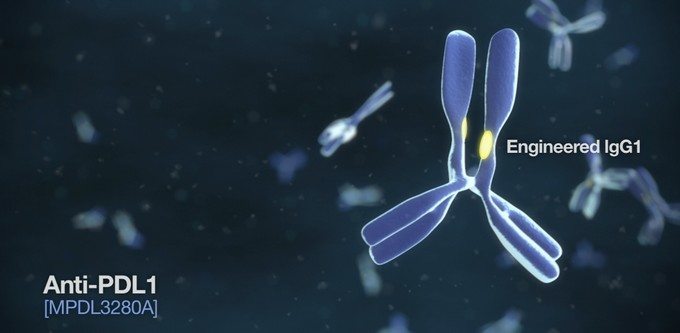 anti-PDL1-kanser-immuno-terapi