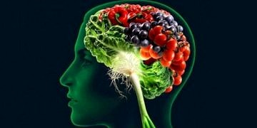 Bağırsaklarımızdaki bakterilerin türü bizi daha zeki yapabilir mi?