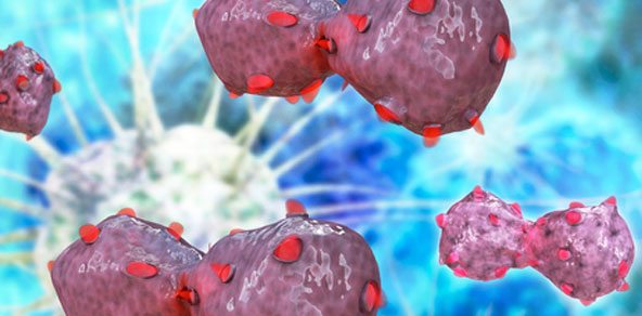 hucre-kanser-immunoloji