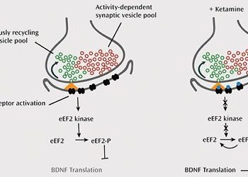 Kanser tedavisinde yüksek dozda düşük yan etki mümkün mü?