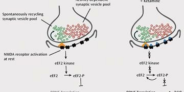 Kanser tedavisinde yüksek dozda düşük yan etki mümkün mü?