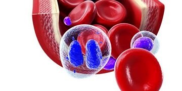 Tırnaklarda kolay kırılma, halsizlik ve çarpıntı anemi belirtisi olabilir