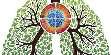 Küçük hücreli dışı akciğer kanserinde hedefleyici tedaviler