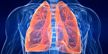 Akciğer kanseri teşhisinde kullanılan endobronşiyal ultrasonografi (ebus) nedir?