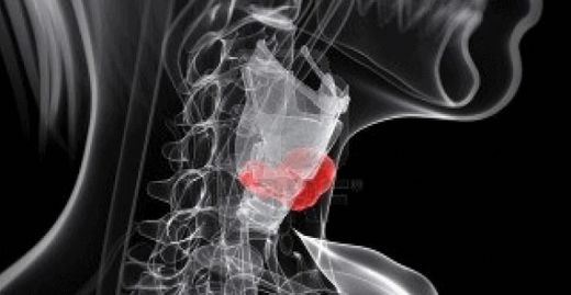 Larenks hastalıkları