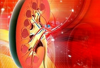 Böbrek hastalığı belirtileri nelerdir? İşte 10 temel işaret