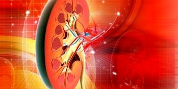 Böbrek hastalığı belirtileri nelerdir? İşte 10 temel işaret