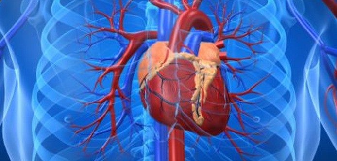 Kalp ve Damar Cerrahisi Uzmanları