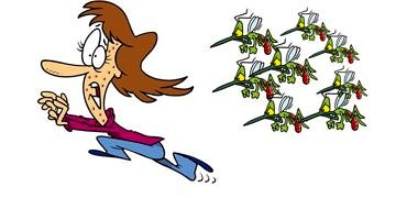 Sivrisinekler neden en çok hamileleri ısırıyor?