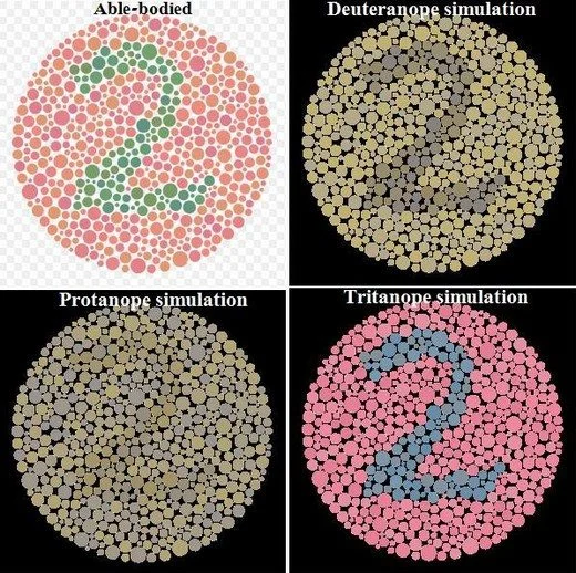 Ishihara_renk-korlugu-testi