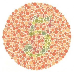 renk körlüğü testi 8