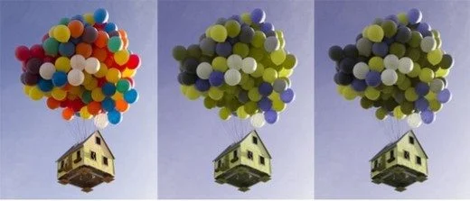 renk körlüğü-testi