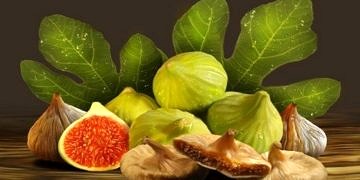 İncir bir kenti kanser etti! Ölüm oranı %42’ye ulaştı