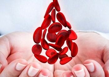 Kan bağışının, kan veren için yararları