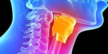 Tıp dünyasını heyecanlandıran yeni keşif: Laboratuvarda ilk kez ses teli üretildi