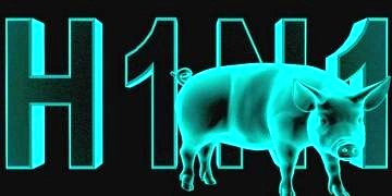 Domuz gribi kronik hasta ve çocukları tehdit ediyor